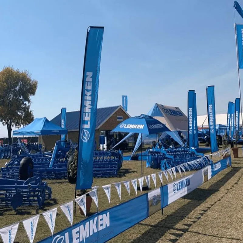 ທຸງຫາດຊາຍ